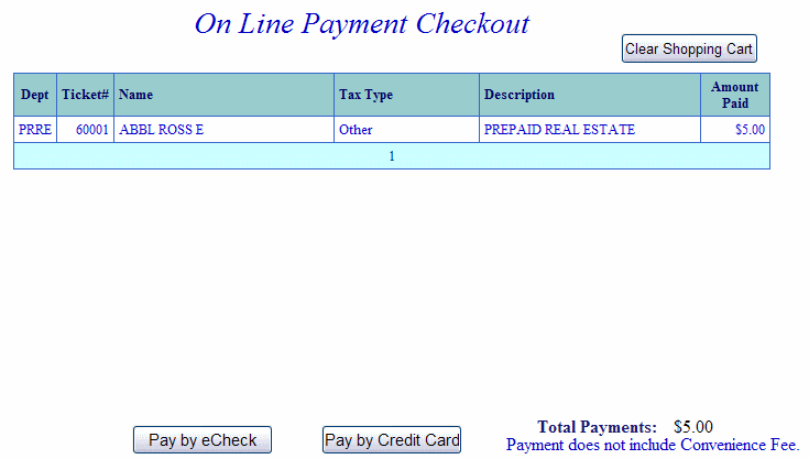 Payment checkout example